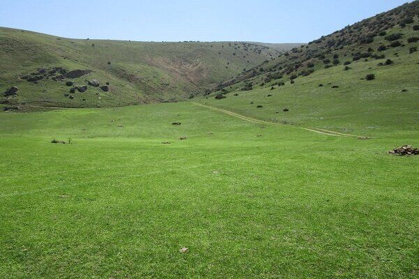 ۳۲۴ هزار میلیارد تومان درآمدزایی با اجرای طرح بهبود پوشش گیاهی و تولید علوفه در مراتع کشور