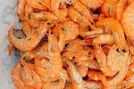 تولید ۶ میلیون تن میگو در جهان و اهمیت تقویت زنجیره سرد در کشور