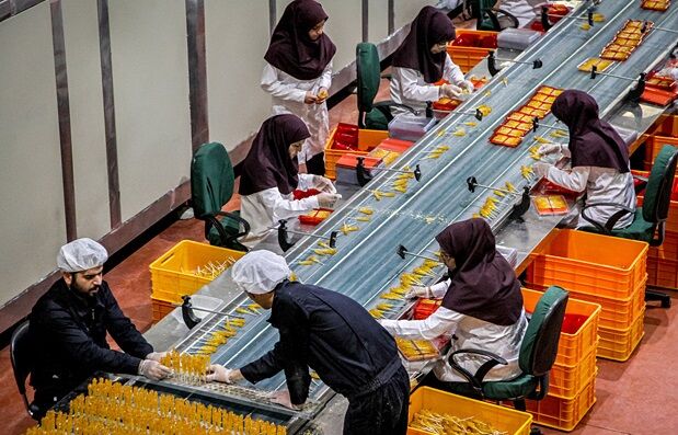 تلخکامی تولیدکنندگان نبات از افزایش قیمت مواد اولیه| کارخانههای تازه تاسیس کمتر حمایت میشوند
