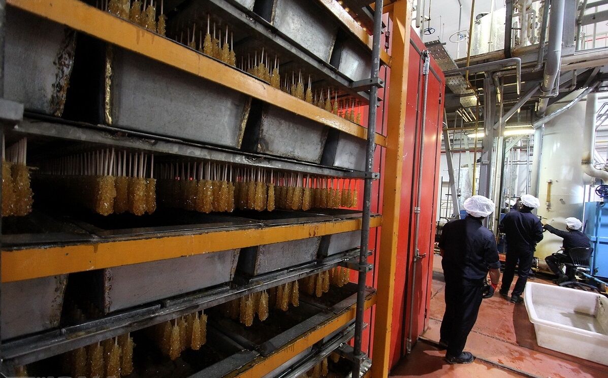 تلخکامی تولیدکنندگان نبات از افزایش قیمت مواد اولیه| کارخانههای تازه تاسیس کمتر حمایت میشوند