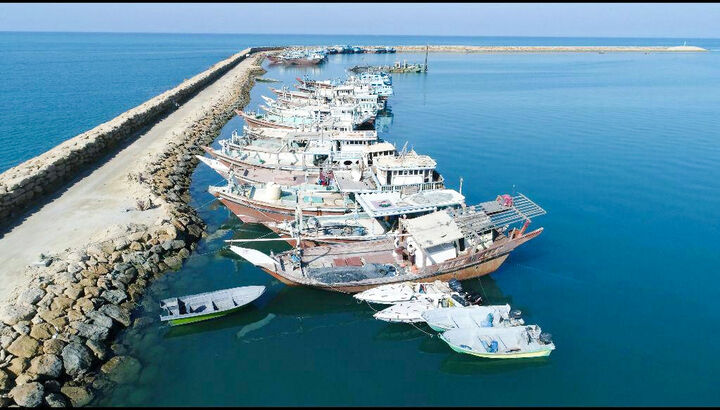 واردات خودرو به بندر سیریک از امروز آغاز میشود