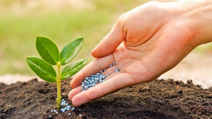 نهاده‌های کشاورزی طبق ضوابط سازمان حفظ نباتات وارد کشور می‌شود
