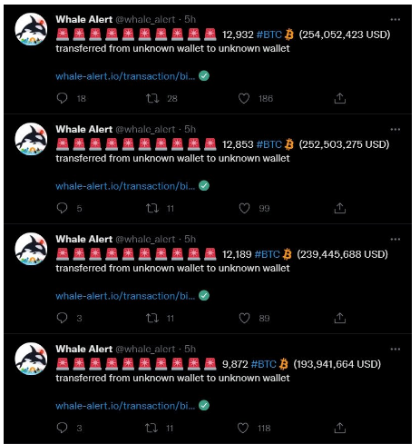 بازگشت نهنگ ها به بازار بیت کوین| آیا روند نزولی معکوس خواهد شد؟