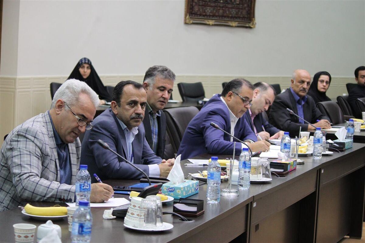 نبود شرکتهای بزرگ لجستیکی| توجه به ترانزیت توسعه تجارت را به دنبال دارد