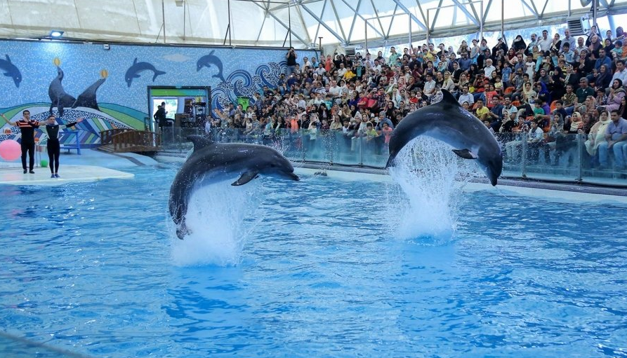 ۵ مکان تفریحی کیش مناسب وقت گذرانی در تعطیلات