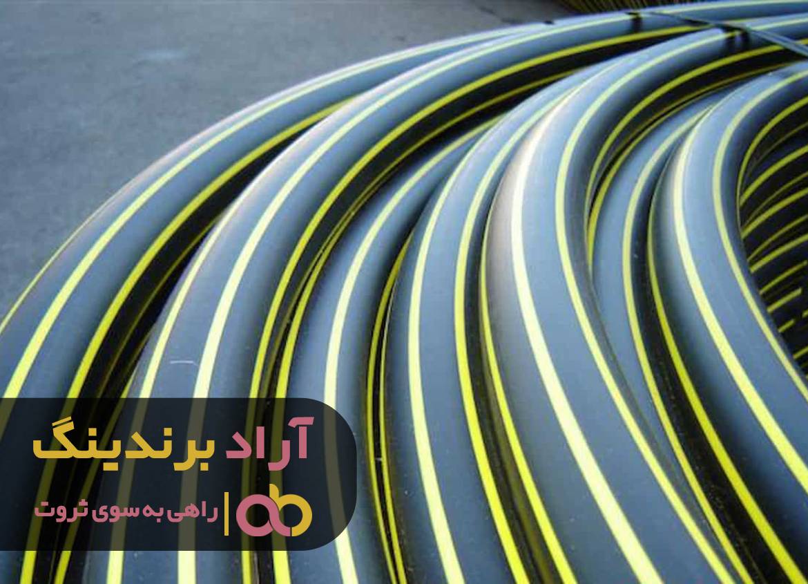 حقایقی در مورد رابطه کسب دانش و کسب ثروت