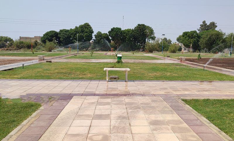 پندِ لقمانیِ بانکها به «کشاورزی قراردادی» | «اجرای درست» موفقیت را تضمین میکند