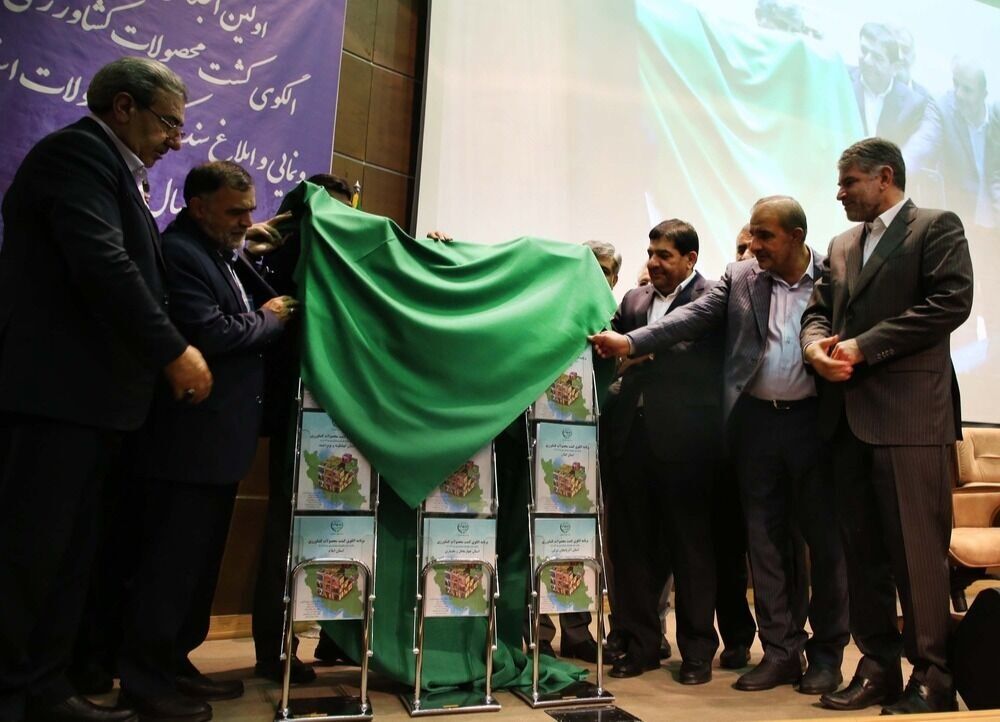 جراحی بخش کشاورزی هرمزگان با اما و اگر| طرح الگوی کشت و دغدغه های کشاورزان