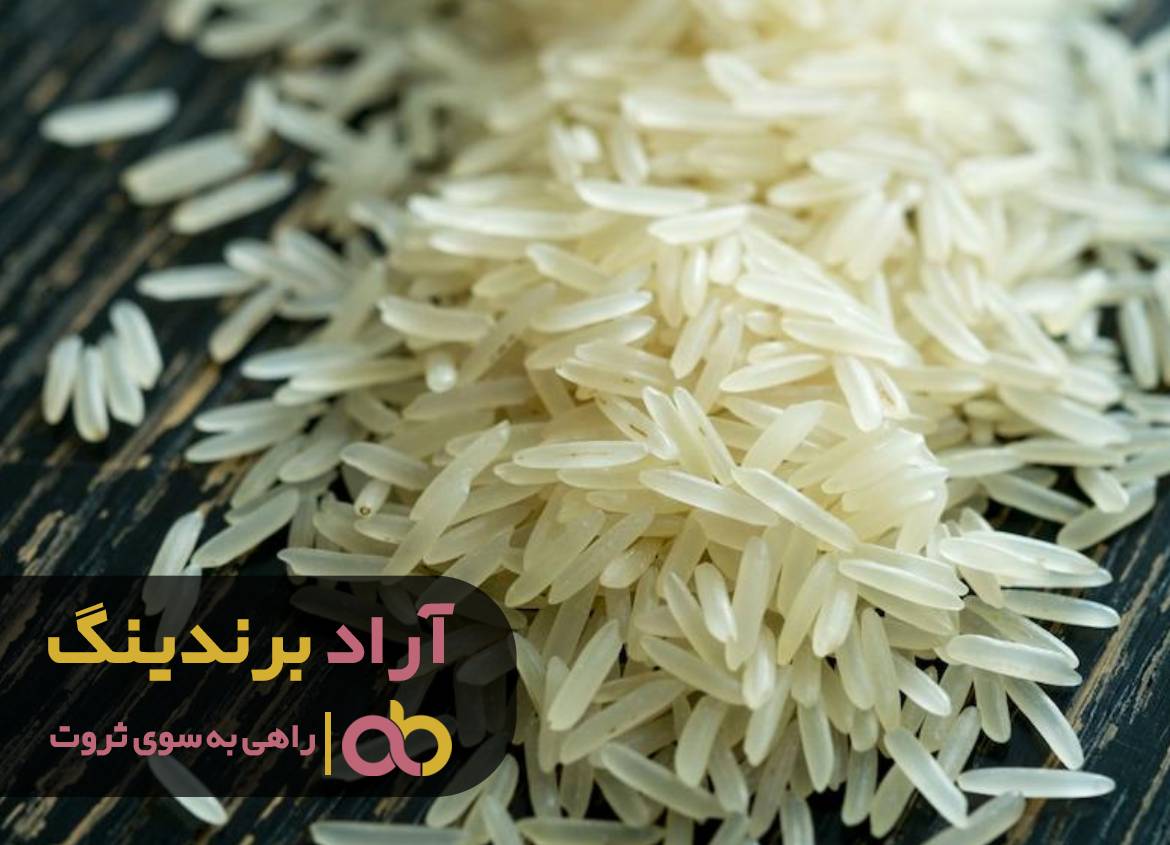 راز ثروت بدون سرمایه لازم کشف شد