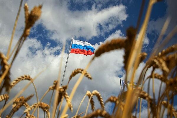 تصمیم شرکت آمریکایی «کارگیل» برای توقف صادرات غلات روسیه از ماه جولای