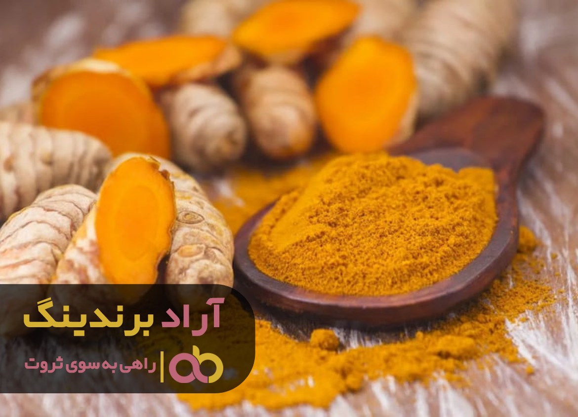 عصر ارتباطات کلید موفقیت شغلی است