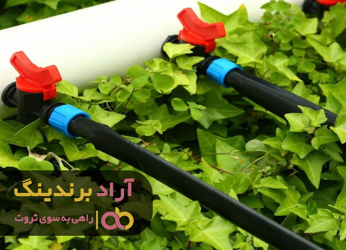 عصر ارتباطات کلید موفقیت شغلی است