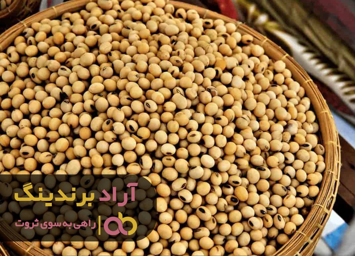 ذهن ثروتمند داشته باشید و پولدار شوید