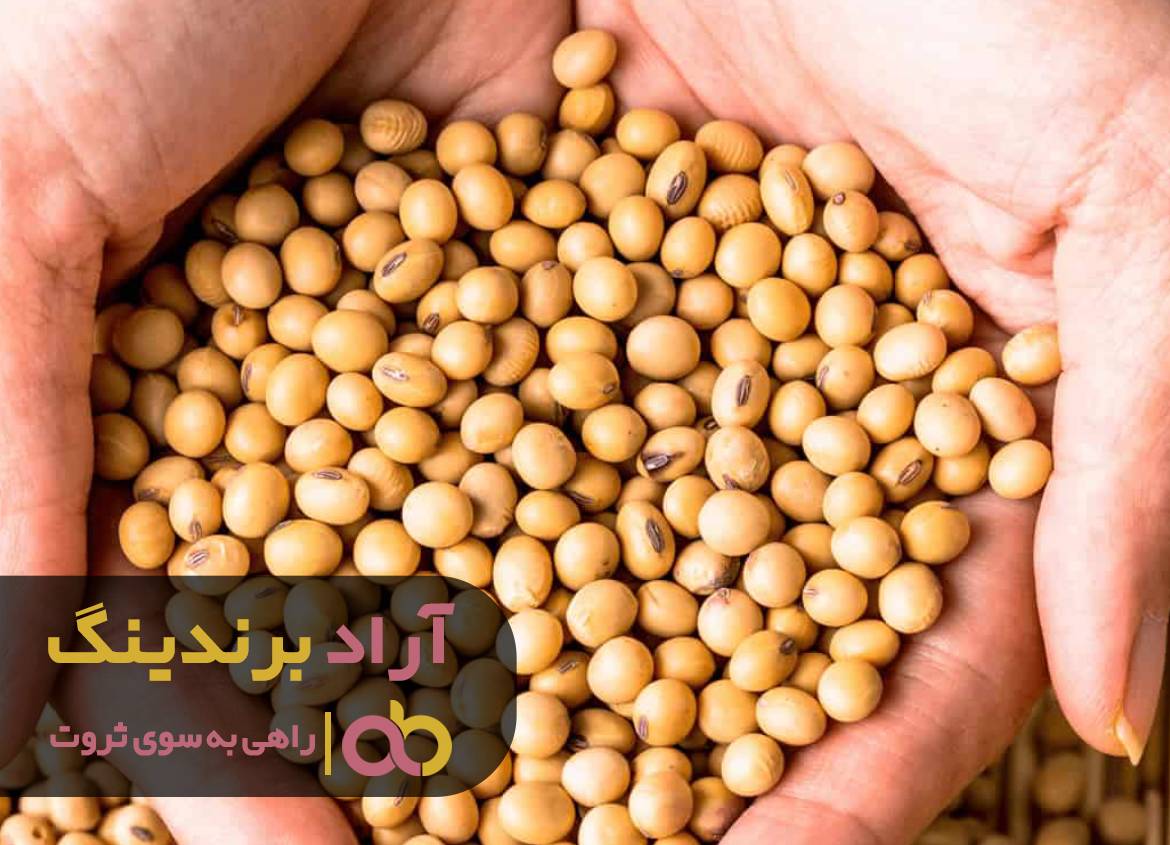 موفقیت را ابتدا در ذهنتان تصور کنید