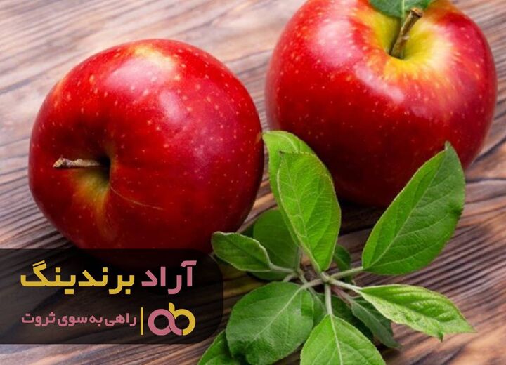 با سرعت تمام به سوی موفقیت بشتابید