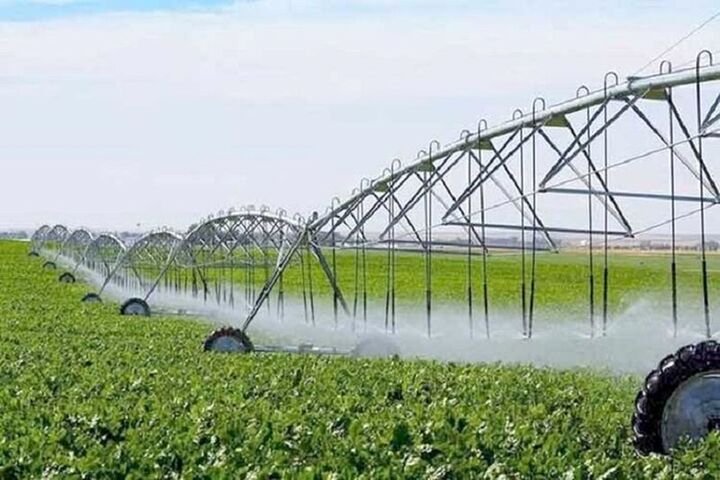 تولید ۸۰ درصد محصولات کشور از طریق کشاورزی آبی
