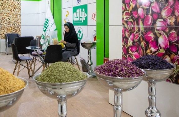 گیاهان دارویی، یک جهان فرصت برای اقتصاد کشور | از خطر نابودی تا مشکل فرآوری و بسته بندی