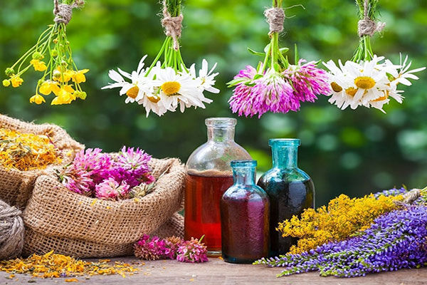 قیمت انواع گیاهان دارویی در ۳۰ خرداد ۱۴۰۲ قیمت انواع گیاهان دارویی در ۳۰ خرداد ۱۴۰۲
