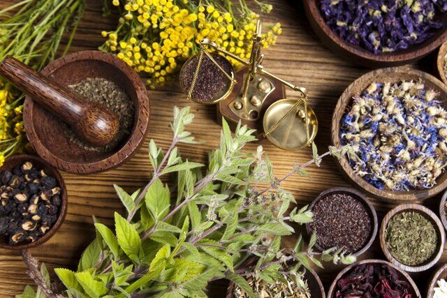 توسعه ۱.۳ هزار هکتاری سطح زیر کشت گیاهان دارویی در سیستان و بلوچستان توسعه ۱.۳ هزار هکتاری سطح زیر کشت گیاهان دارویی در سیستان و بلوچستان