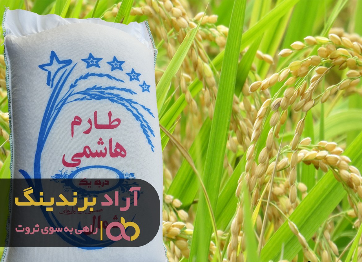 چگونه می شود که با راهکاری ناب ثروتمند شد