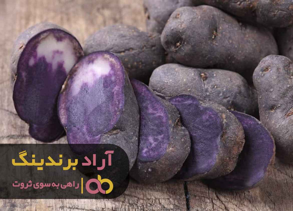 چند ایده برای پیدا کردن شغل دوم پول ساز