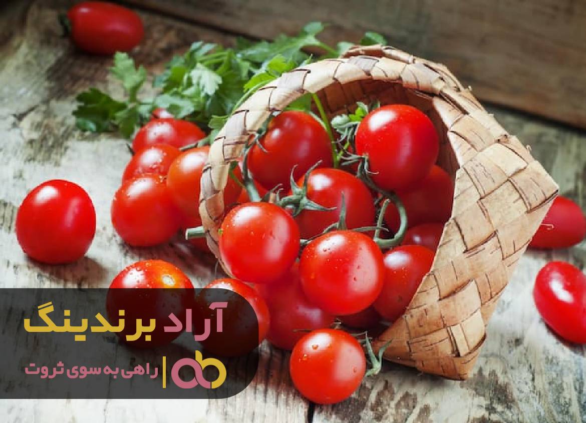 در چه حوزه ای فعالیت کنیم تا ثروتمند شویم