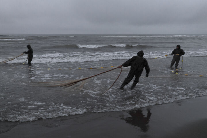 صید ۹۳۳ تن ماهیان استخوانی به ارزش ۱۴۱ میلیارد تومان در گیلان صید ۹۳۳ تن ماهیان استخوانی به ارزش ۱۴۱ میلیارد تومان در گیلان