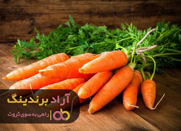 در چه حوزه ای فعالیت کنیم تا ثروتمند شویم