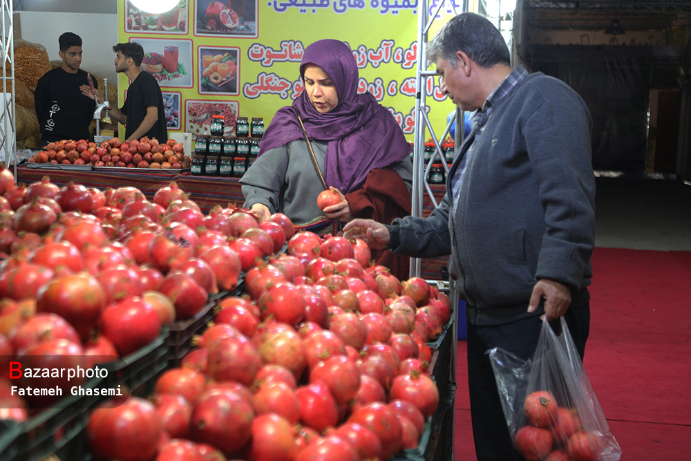 محصول انار در برزخ صادرات | یاقوت سرخ ایران مشتری ندارد