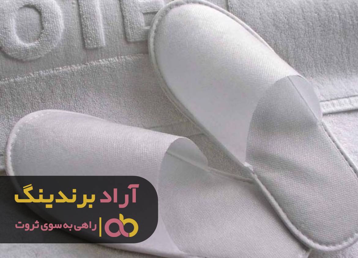 با کمترین سرمایه یک کارآفرین موفق شدم