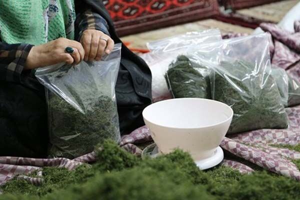 دشواریهای زنان سرپرست خانوار با محدودیت اینترنت | فقدان بازار فروش تولیدات در قم