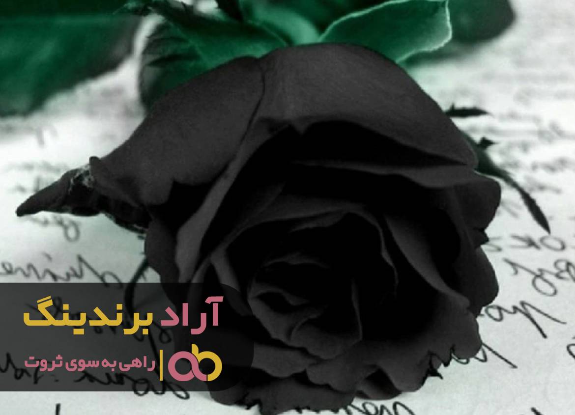 با چند گام پیش پا افتاده پولدار شدم