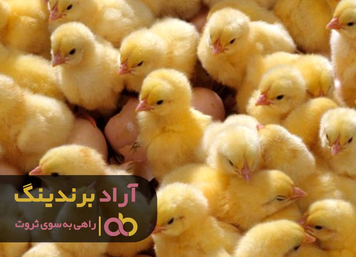 با این ترفند از مشکلات کسب و کارم رها شدم