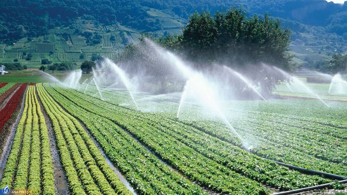 آب فدای غذا! | ۳ سال فرصت برای کاهش ۳۲ درصدی مصرف آب در بخش کشاورزی