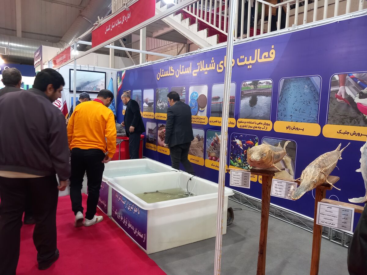 نمایشگاه بین المللی شیلات خالی از شرکتهای خارجی| سطح فنی بزرگترین رویداد آبزی پروری بالا است