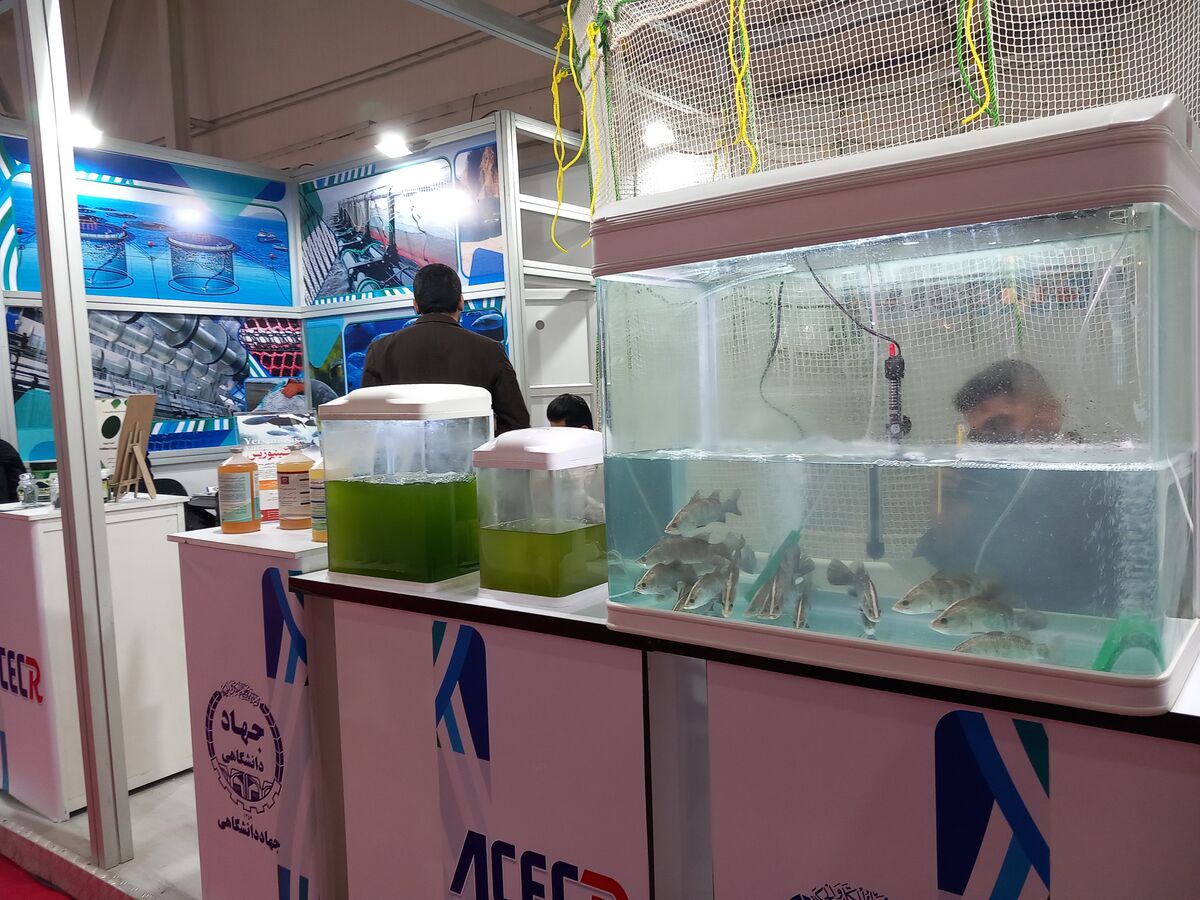 نمایشگاه بین المللی شیلات خالی از شرکتهای خارجی| سطح فنی بزرگترین رویداد آبزی پروری بالا است