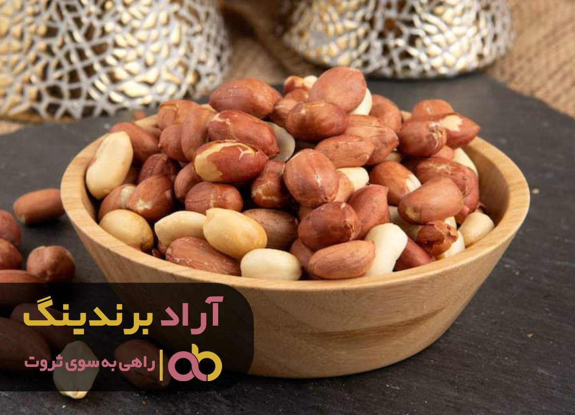 در ذهن انسان های ثروتمند چه خبر است