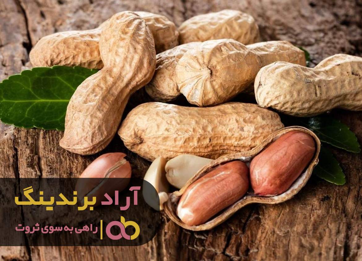 در ذهن انسان های ثروتمند چه خبر است