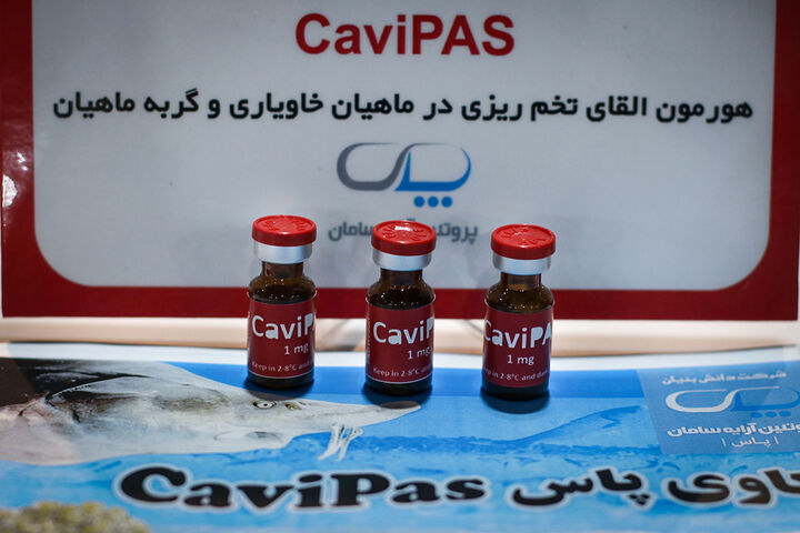 نمایشگاه بین المللی شیلات،ابزیان،ماهیگیری و صنایع وابسته