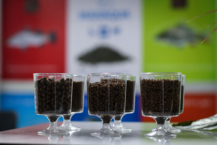 نمایشگاه بین المللی شیلات،ابزیان،ماهیگیری و صنایع وابسته