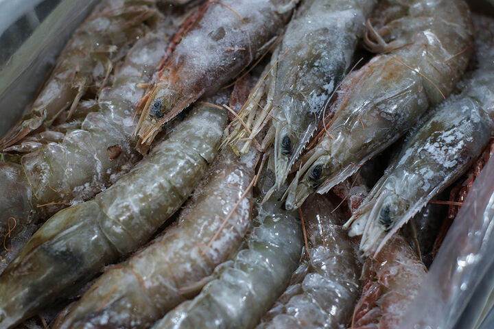 نمایشگاه بین المللی شیلات،ابزیان،ماهیگیری و صنایع وابسته