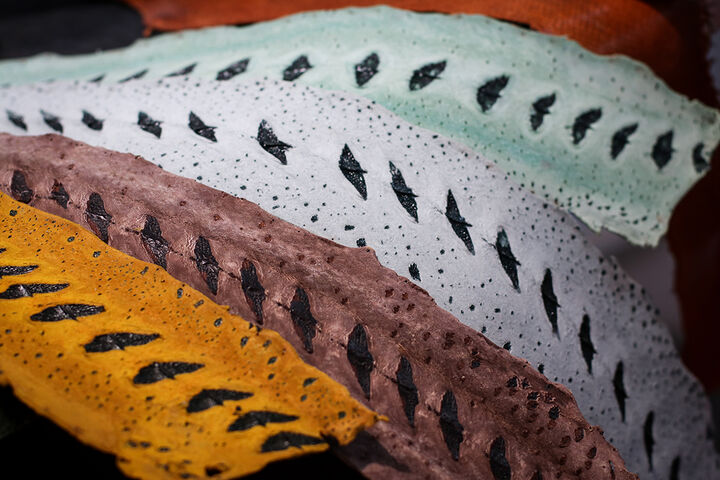 نمایشگاه بین المللی شیلات،ابزیان،ماهیگیری و صنایع وابسته