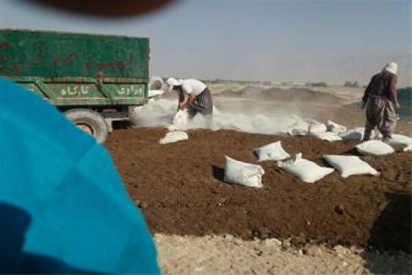 حل مشکلات باغداران آذربایجان شرقی با توسعه کشت قراردادی| کوچک بودن قطعات چالش اصلی بخش کشاورزی کشور