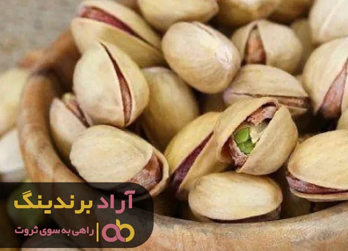 با پسته در عرض ۶ ماه به درآمد میلیاردی رسیدم