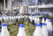 تولید ۱۱.۵ میلیون تن شیر در کشور