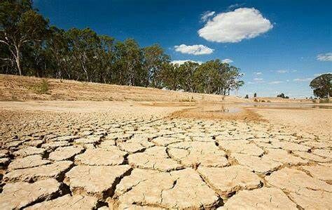 پایان کابوس خشکسالی در ایلام| حجم ذخیره سدهای استان افزایش یافت