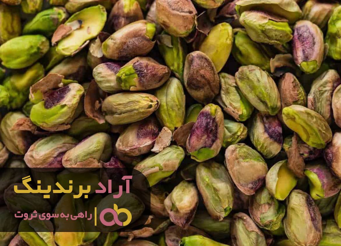 هر ماه بخشی از درآمدم را سرمایه گذاری کردم و ثروتمند شدم