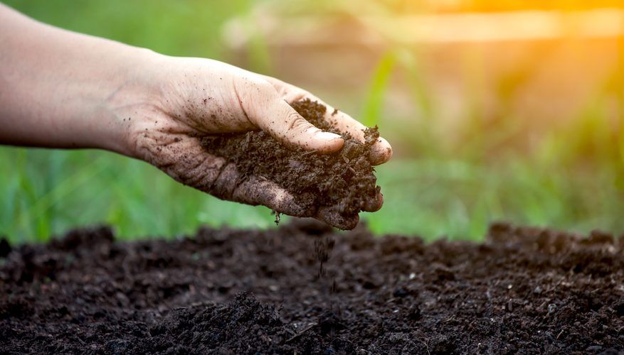 مواد آلی خاک زراعی کشور به کمتر از نیم درصد رسیده است| اثرات منفی تجمع عناصر در خاک کشاورزی