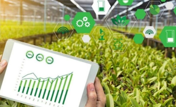 ورود صندوق حمایت از صنایع پیشرفته به صنعت کشاورزی
 ورود صندوق حمایت از صنایع پیشرفته به صنعت کشاورزی