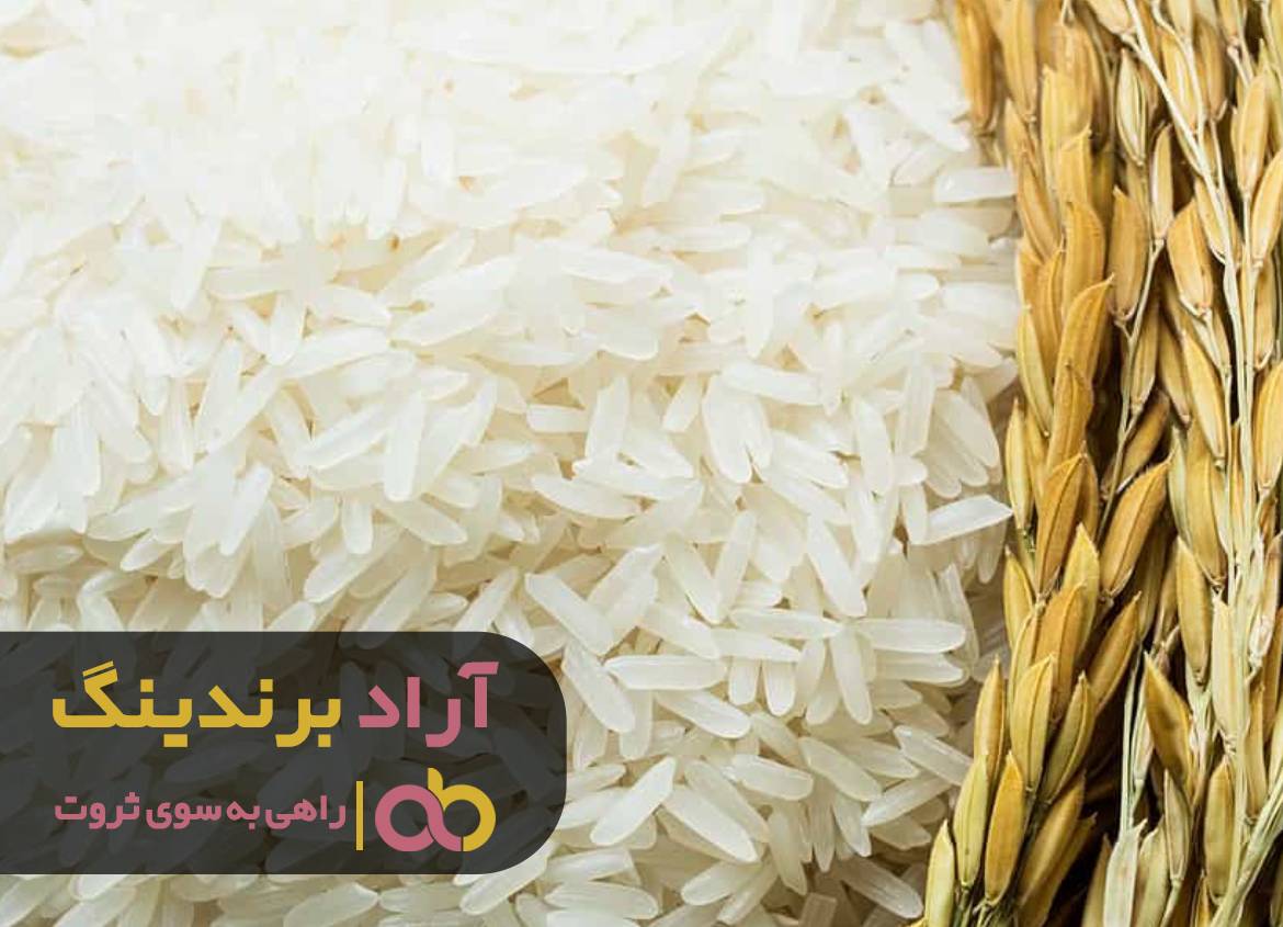من لایق بهترین ها هستم و آن ها به سمت من می آیند!
